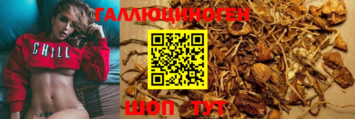 закладка  Вход с VPN  Екатеринбург  Псилоцибиновые грибы Magic Shrooms 